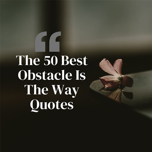 The Obstacle Is The Way Quotes