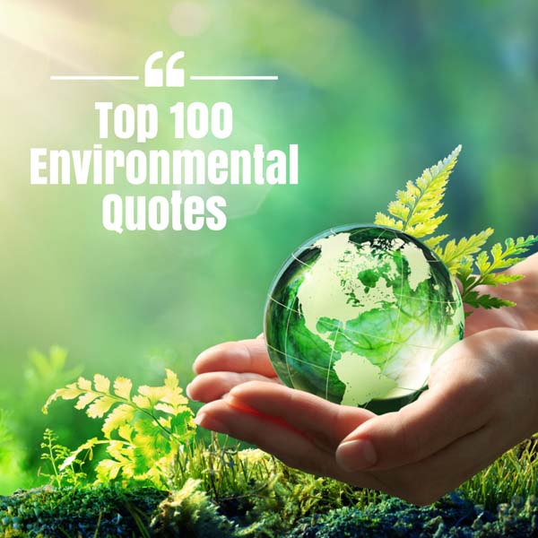 Inspiring Environmental Quotes for Sustainability and Change